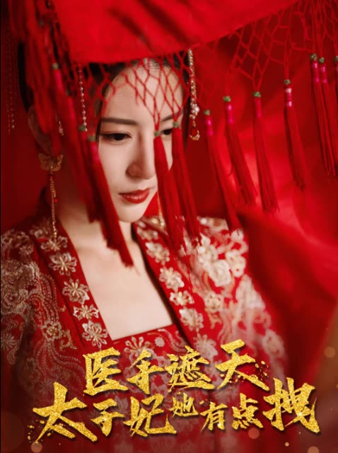 医手遮天,太子妃有点拽