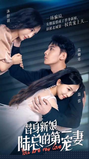 替嫁新娘陆总的第一宠妻