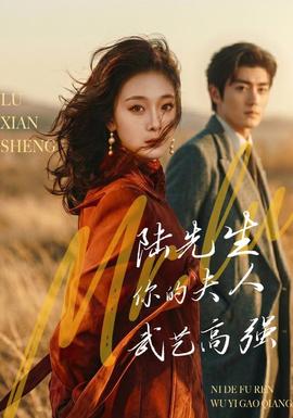 陆先生,你的夫人武艺高强